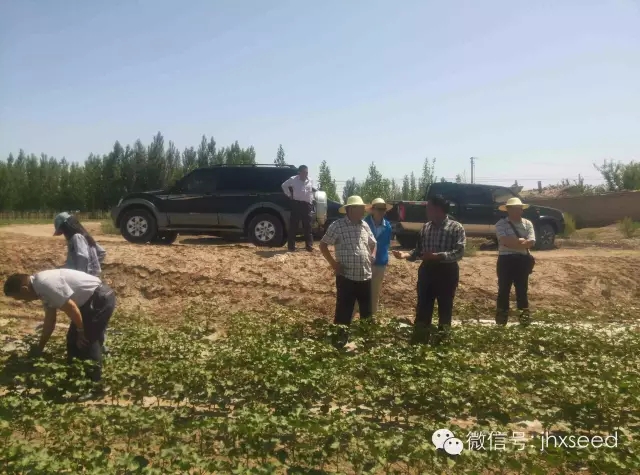 557fdd4479b3c 东升国际(中国区) - 官方网站